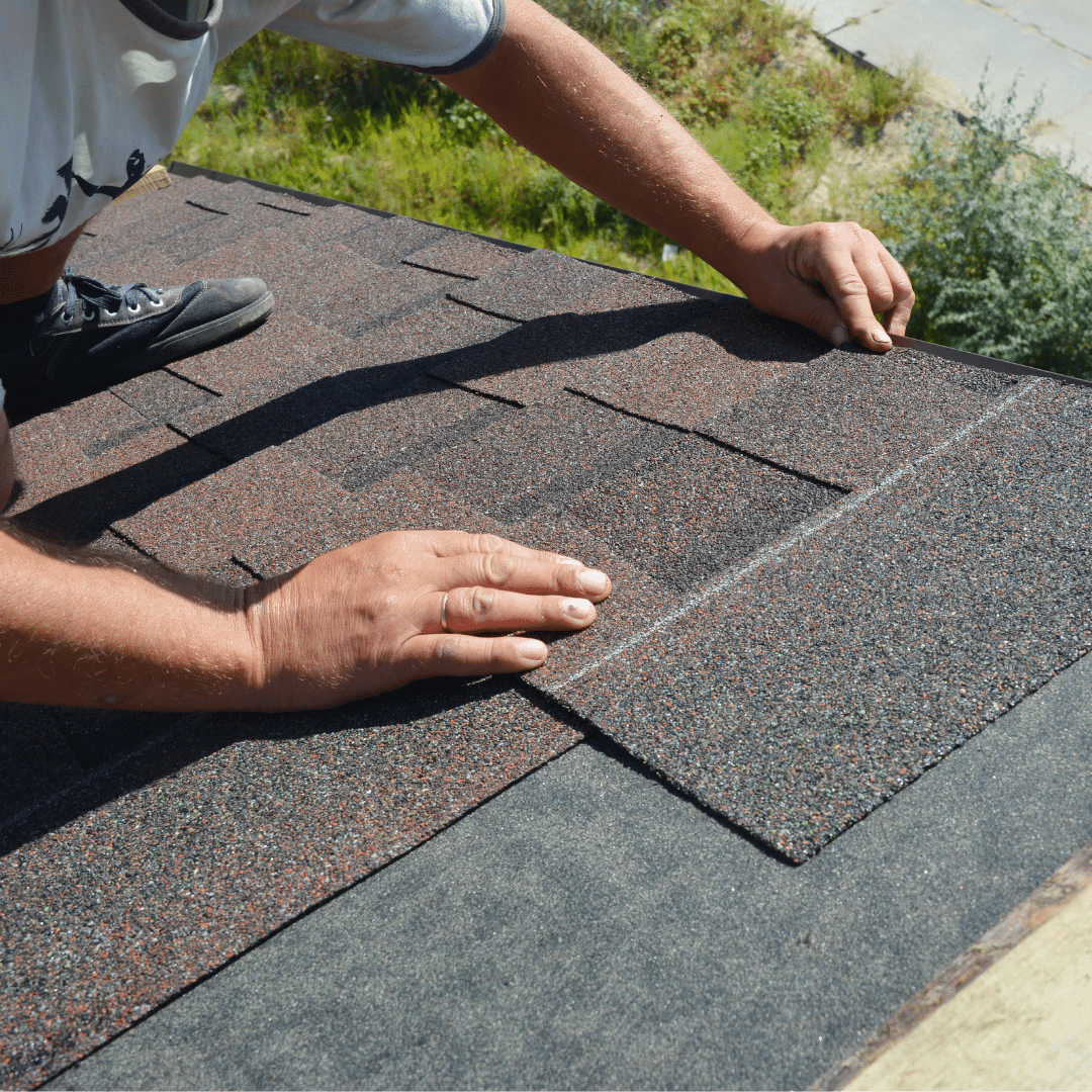 Roofer's hands aligning an asphalt shingle on a roof
