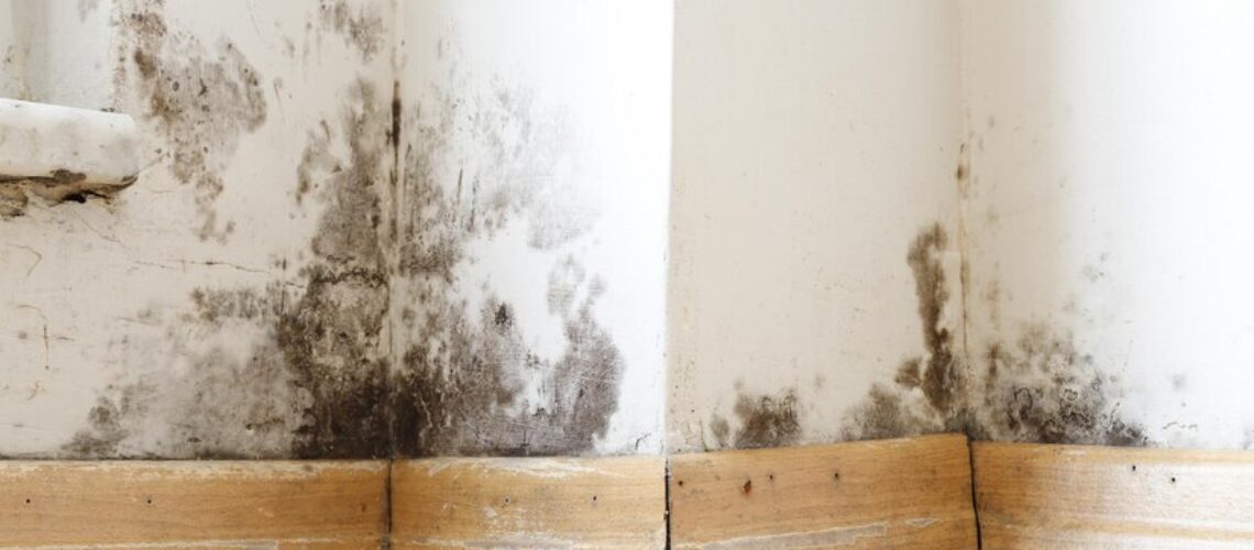 Mold Removal in Wylie, TX